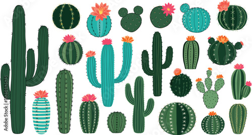 Large Collection of Colorful Cactus and Succulent Plants Vector Set Illustrating Various Species, Including Saguaro, Barrel, and Prickly Pear Cacti with Bright Desert Flowers