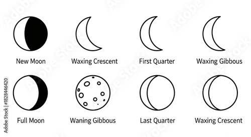 Phases of the moon infographic illustrating lunar cycle and celestial observation guide