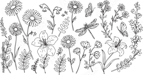 Delicate hand drawn outline illustration of a wildflower meadow with dragonflies and insects