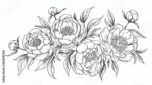 Elegant Floral Arrangement of Peonies with Buds and Leaves in Delicate Black and White Ink Style Drawing