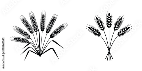 Artistic vector illustration of a delicate wheat flower showcasing intricate details and vibrant colors perfect for agricultural themes and natural beauty designs
