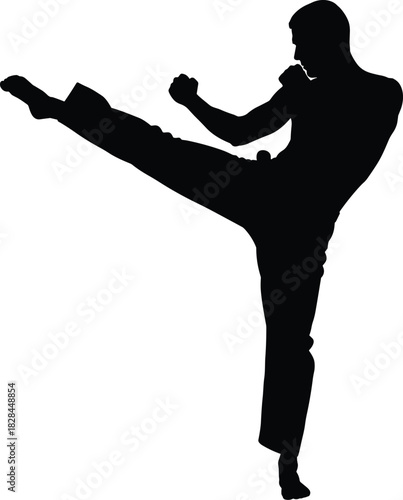 Martial Arts SilhouetteMartial Arts Silhouette