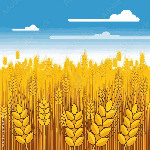 Golden wheat field illustration vector design of ripe cereal plants perfect for agriculture and harvest season concepts