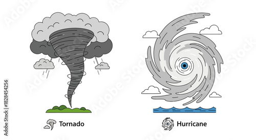 Stylized vector illustration contrasting tornado over land and hurricane over the sea featuring