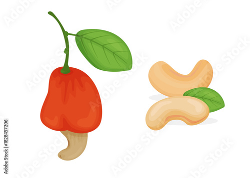 Cashew nuts with fruit stock illustration
