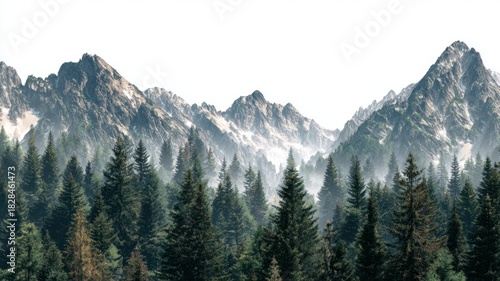 Majestic mountain range with dense green pine forests, rugged peaks and natural landscape isolated on transparent background, detailed vector illustration for nature and outdoor designs
