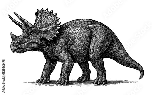 Detailed black and white triceratops drawing showcasing intricate vintage design