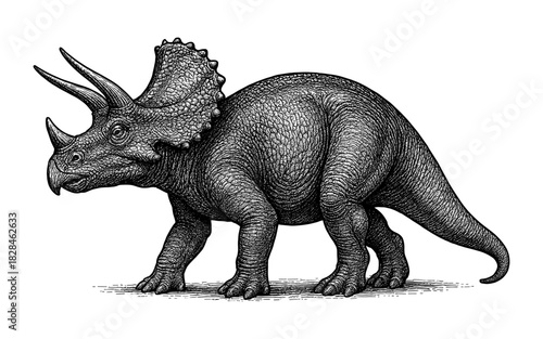 Detailed monochrome triceratops sketch: classic dinosaur art with intricate texture and realism