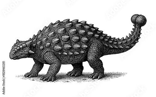 Detailed black and white engraving of an ankylosaurus dinosaur