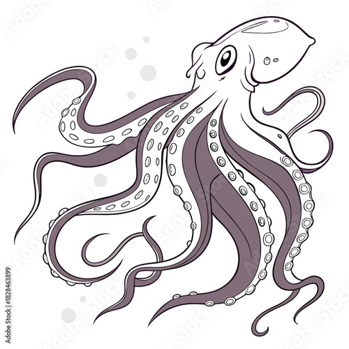 sea horse vector illustration