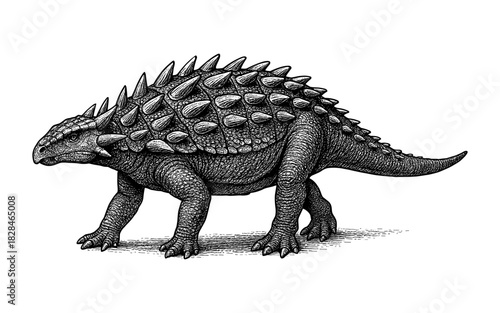 Detailed engraving of armored dinosaur with spiky back on white background