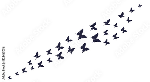 A swarm of dark silhouette butterflies in various sizes flying upwards diagonally across a clean white background, symbolizing freedom and transformation.