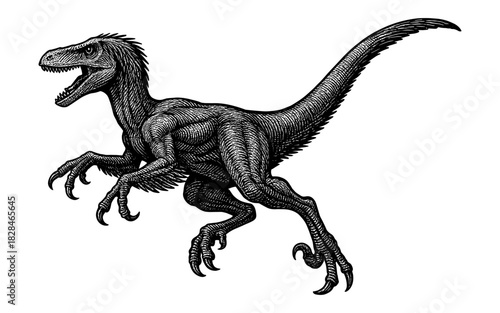 Intricate black and white velociraptor with detailed linework art