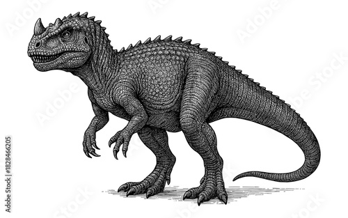 Detailed black and white drawing of a carnotaurus dinosaur