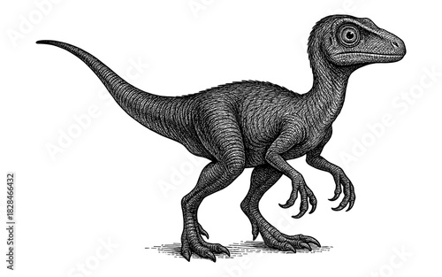 Intricate hand drawn dinosaur with detailed texture in vintage black and white style