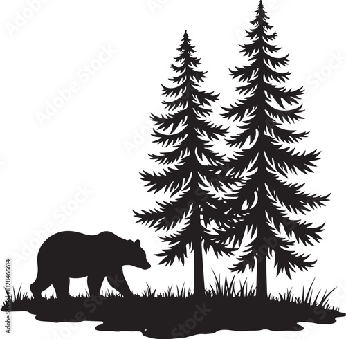 Black silhouette of bear walking near pine trees and grass