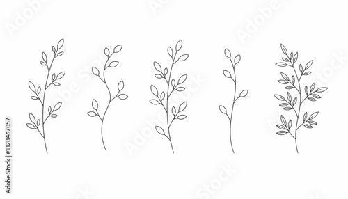 Collection of five elegant contour drawing plant branches with leaves. Minimalist floral vector set