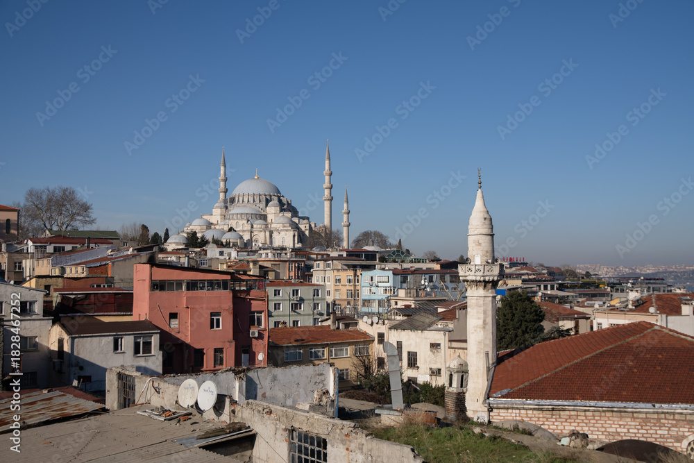 Naklejka premium Istanbul Mosque Skyline Architecture: panoramic view showcasing historical buildings and cityscape, likely winter.