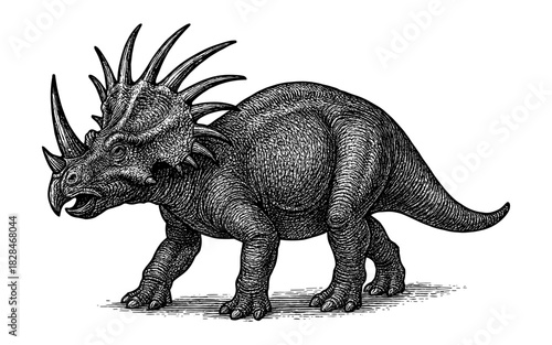 Detailed engraving of a styracosaurus dinosaur with intricate texture