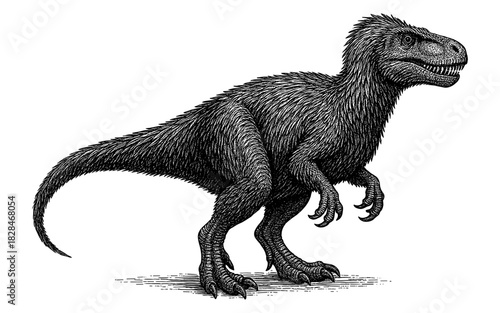 Detailed hand-drawn dinosaur art featuring a fierce velociraptor