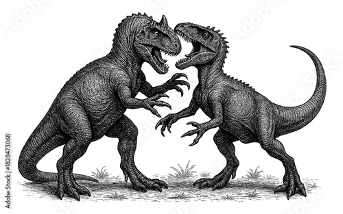 Detailed vintage dinosaurs engraving: two fierce creatures in a classic battle stance