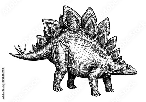 Detailed engraving of a stegosaurus showcasing classic dinosaur art style