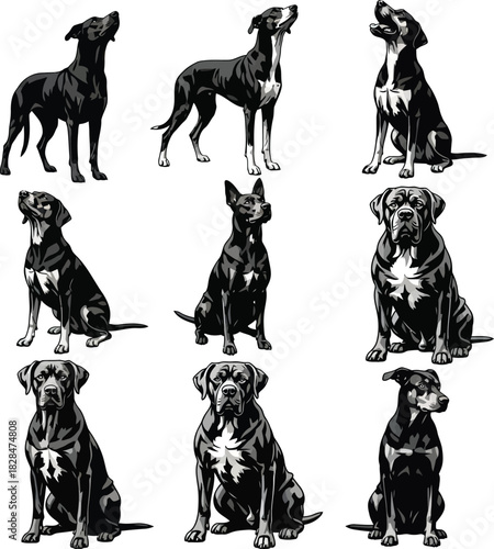 Black dog breeds vector illustration collection pet animal graphics eps silhouette