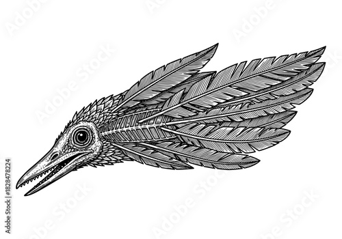 Intricate engraved bird skeleton with detailed feathers in profile view