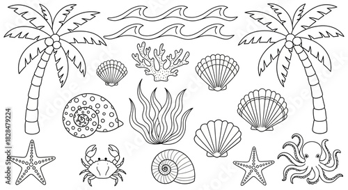 A detailed vector set of hand-drawn ocean and beach elements. This collection includes tropical palm trees, marine life like octopus and crab, and various seashells in a clean outline style