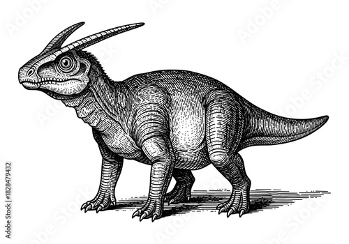 Detailed hand drawn dinosaur with horns in classic engraving style