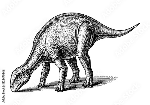 Engraved dinosaur artwork: detailed jurassic herbivore