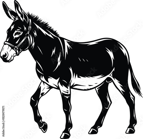 Alligator drawing reptile illustration wildlife animal black and white eps silhouette