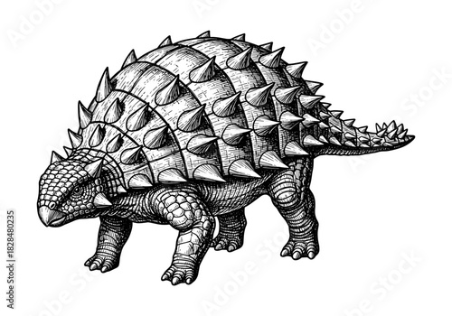 Hand drawn ankylosaurus with spiked armor in vintage style