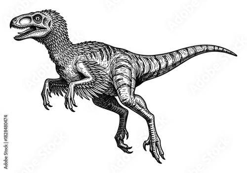 Detailed engraving of a velociraptor dinosaur in black and white with vintage style