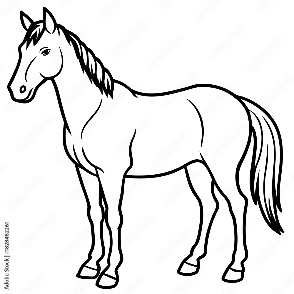 Obraz premium horse vector illustration