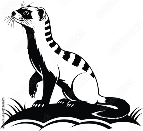 Find black and white ferret illustration vector image for design use eps silhouette