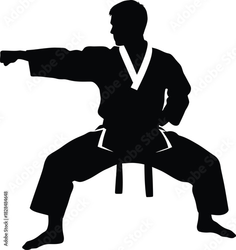 Karate martial arts silhouette training fighter punch stance isolated eps