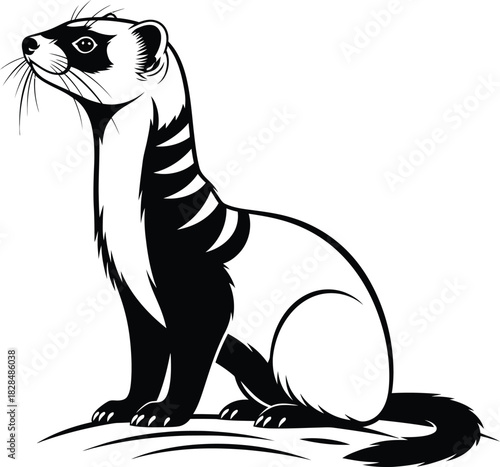 Ferret vector illustration black and white mammal animal pet design art eps silhouette