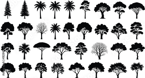 Mega Tree Silhouette Vector Set of Different Species Including Palm, Coniferous,