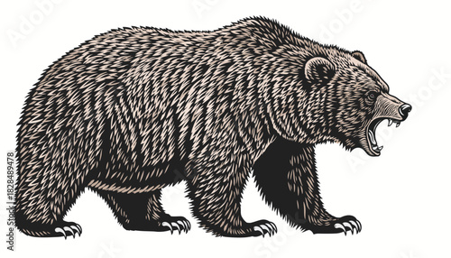 Illustration of a menacing brown bear with an open mouth.