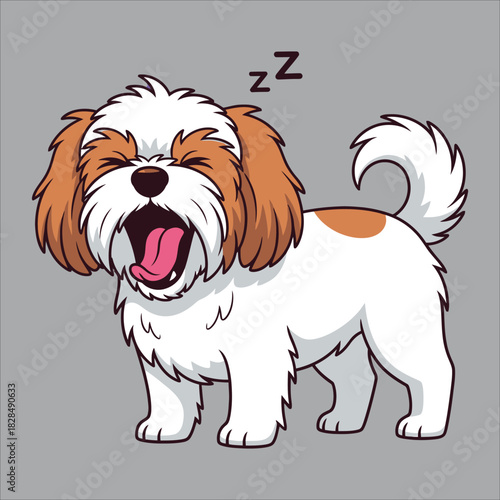 A cute Shih Tzu dog is yawning widely with its eyes closed, indicating it is sleepy.