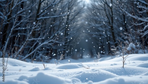 frosted silver grey 35: pale silver mist, micro sparkle dusting, soft backlit silver rim, accented with pearlescent frost film, composition: top header and footer strips, use: luxury winter branding