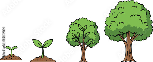 Stages of Tree Growth: Seedling, Young Plant, Maturing Tree, and Fully Grown Oak Illustrating Nature, Environmental Conservation, Life Cycle, and Sustainable Development Concept.