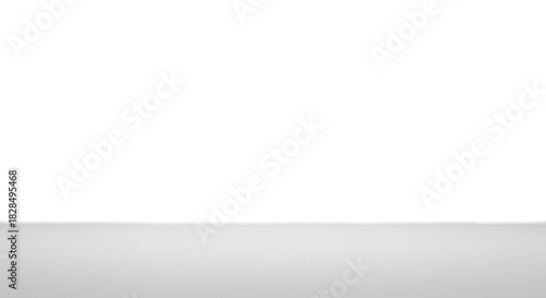 Photorealistic, shadowless light neutral grey (#d3d3d3) seamless studio cyclorama background, featuring extreme uniformity and vast negative copy space. Concept for minimal corporate design