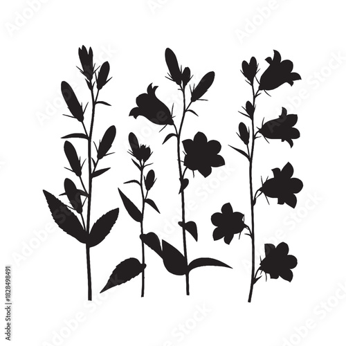 Bellflower Silhouette Floral Vector Set