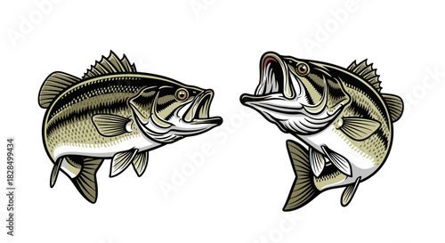 Dynamic pair of largemouth bass fish illustrations, leaping with open mouths and fierce expressions, perfect for sport fishing themes.