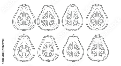 Line art illustration of eight halved papayas in a grid pattern