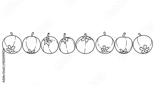 Hand drawn line art illustration of various fruits in a row