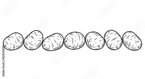 Line drawing of seven potatoes in a row on a white background