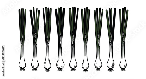 Row of elegant silver cocktail forks against a clean white background